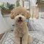みのプロフィール画像