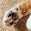 理恵のプロフィール画像