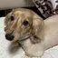 Kのプロフィール画像
