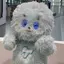 きゃんのプロフィール画像
