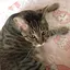 あやとのプロフィール画像
