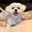 さっちんのプロフィール画像
