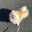 naoのプロフィール画像