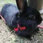 tenのプロフィール画像