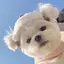 りーやんのプロフィール画像