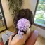 珠杏のプロフィール画像