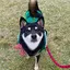 なのプロフィール画像