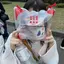プリンのプロフィール画像