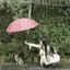 ねこのプロフィール画像