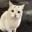 らいのプロフィール画像
