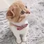まるのプロフィール画像