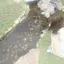 ウメヅのプロフィール画像