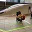 tan-koniのプロフィール画像