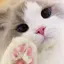 ゆでたまごのプロフィール画像