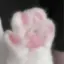 ねこのプロフィール画像