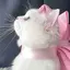 めろたんのプロフィール画像