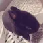 しおりのプロフィール画像