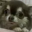 Rのプロフィール画像