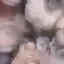 naのプロフィール画像