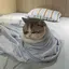 Miのプロフィール画像