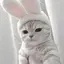 naのプロフィール画像