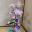 麗のプロフィール画像