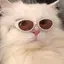 ぴのプロフィール画像