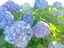 ♡のプロフィール画像