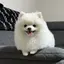 遥花のプロフィール画像