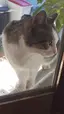 エリのプロフィール画像