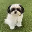 ひろこのプロフィール画像