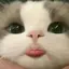 moenoのプロフィール画像