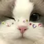 麻衣子のプロフィール画像