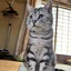 ちーちゃんのプロフィール画像