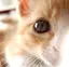 nakasho64のプロフィール画像