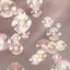 SAEのプロフィール画像