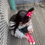 幸奈のプロフィール画像