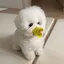 Mのプロフィール画像