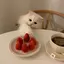 Minamiのプロフィール画像