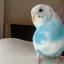 あいのプロフィール画像