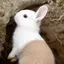 tanpopoのプロフィール画像