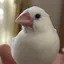 Reのプロフィール画像