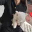 ゆたんのプロフィール画像