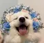 Yuki☆のプロフィール画像