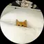 miuのプロフィール画像