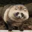 桃のプロフィール画像