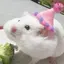 ちょこのプロフィール画像