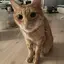 mmのプロフィール画像