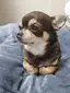 miのプロフィール画像
