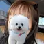 ちびよしのプロフィール画像